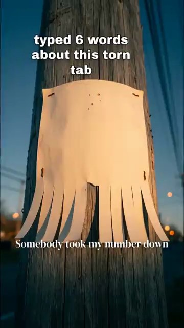 Songs post made by Social Studio